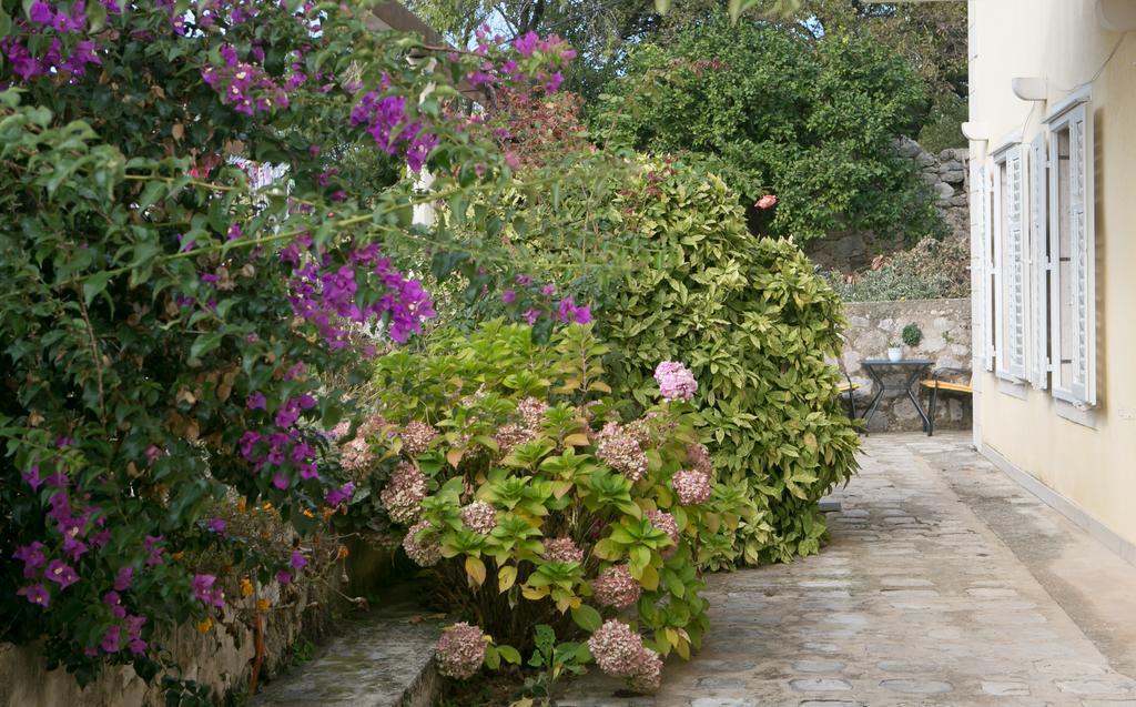 Villa Bona Dubrovnik Dış mekan fotoğraf