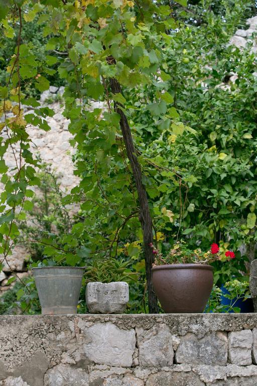 Villa Bona Dubrovnik Dış mekan fotoğraf